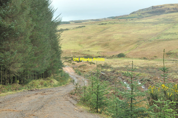 Photo 6"x4" Forestry road near Killellan Homeston c2013