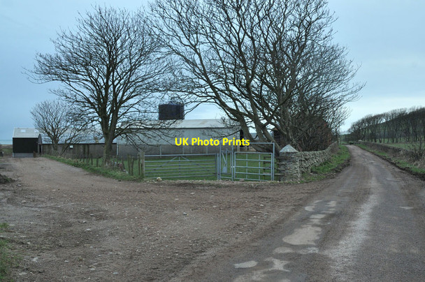 Photo 6"x4" Entrance to Lephenstrath Farm Southend\/NR6908 c2013
