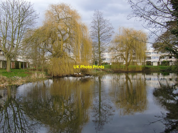 Photo 6"x4" Lake by the River Wandle, Ravensbury Park Morden\/TQ2568 c2013