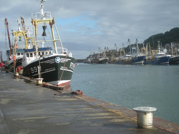 Photo 6"x4" Fishing fleet at Newlyn Newlyn c2008
