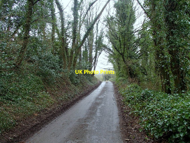Photo 6"x4" Bent Lane, Darley Hillside Darley Hillside c2013