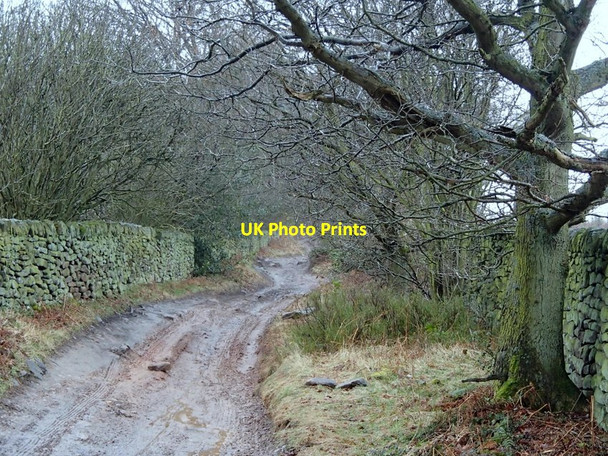 Photo 6"x4" Back Lane Darley Hillside c2013