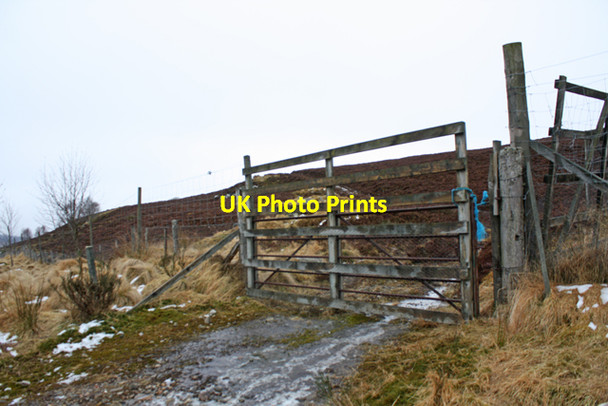 Photo 6"x4" Gate, Shenval Wood Glenlivet c2013