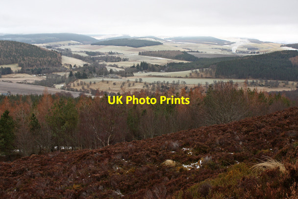 Photo 6"x4" View over Shenval Wood towards Glenlivet Glenlivet c2013