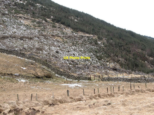 Photo 6"x4" Gate and ladder stile at a gap in Batt's Wall Hilltown\/J2128 c2013