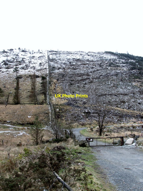 Photo 6"x4" Access road linking Sandbank Road with the upper end of Rostrevor Forest Hilltown\/J2128 c2013