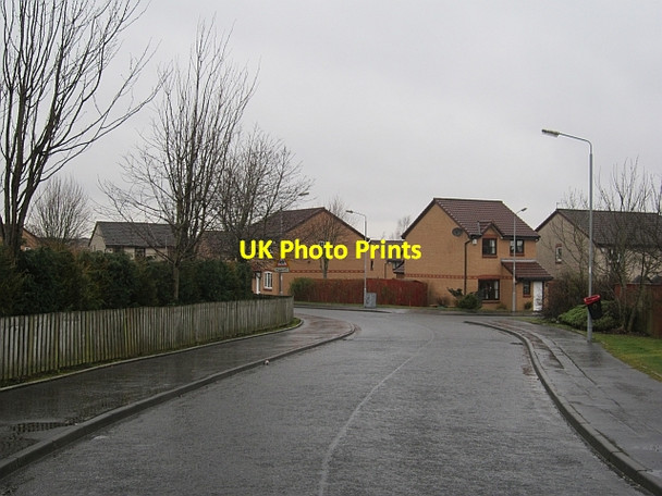 Photo 6"x4" Herbertson Grove, Blantyre Blantyre c2013