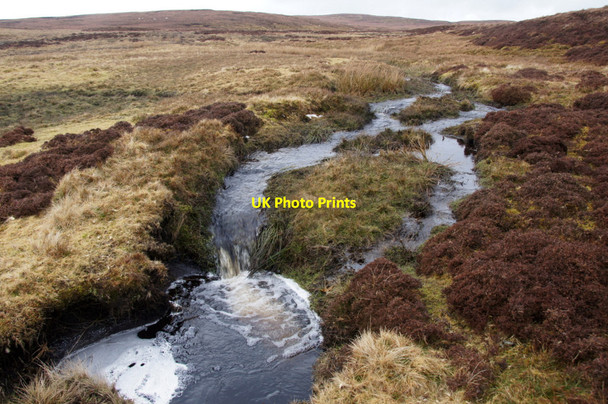 Photo 6"x4" Head of Smirlees Dale Burrafirth c2013 P1