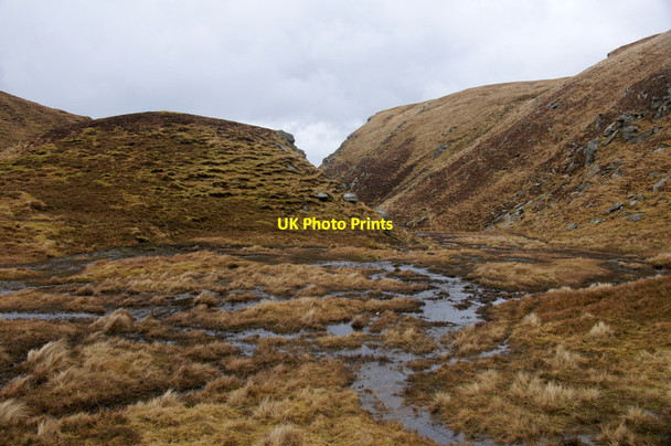 Photo 6"x4" Cat Houll, Hermaness Burrafirth c2013 P1
