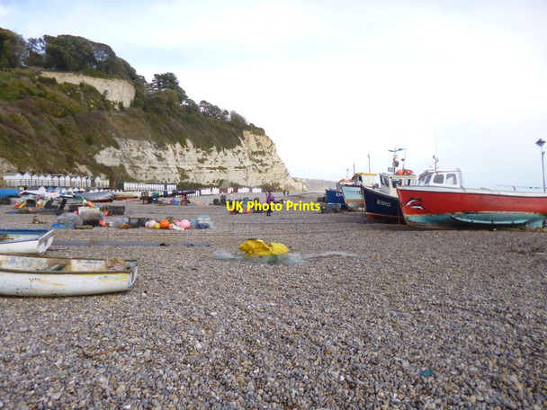 Photo 6"x4" Beer Beach Seaton\/SY2490 c2013