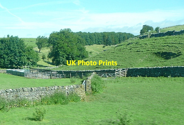 Photo 6"x4" Pasture at Pike Hall Farm Pikehall c2012