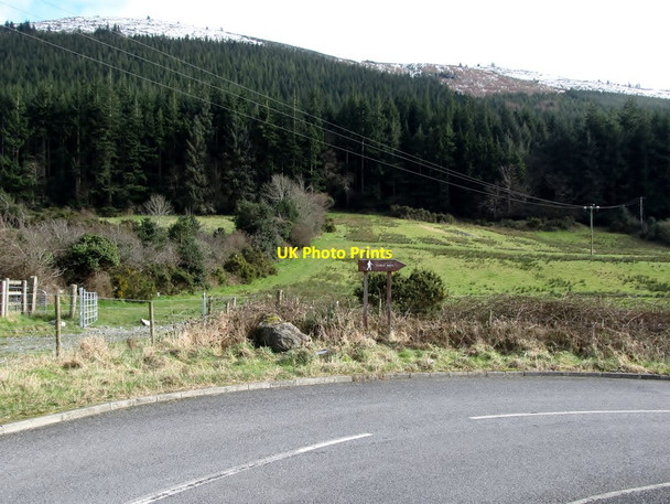 Photo 6"x4" Farmland between Pinewood Road and the Rostrevor Forest Rostrevor c2013