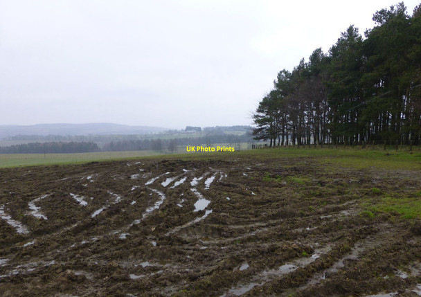 Photo 6"x4" Ploughed field beside a wood South Charlton c2013