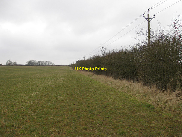 Photo 6"x4" Footpath along field edge West Lilling c2013