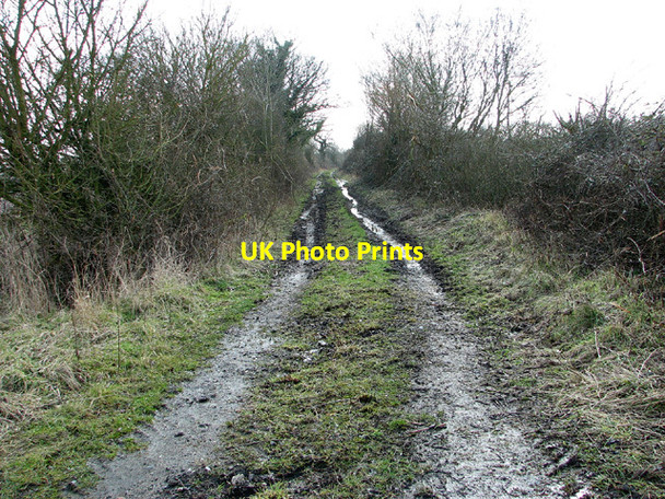 Photo 6"x4" Birch Way becomes a track Thwaite St Mary c2013