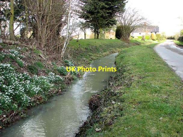 Photo 6"x4" Snowdrops beside drainage ditch Loddon Ingloss c2013