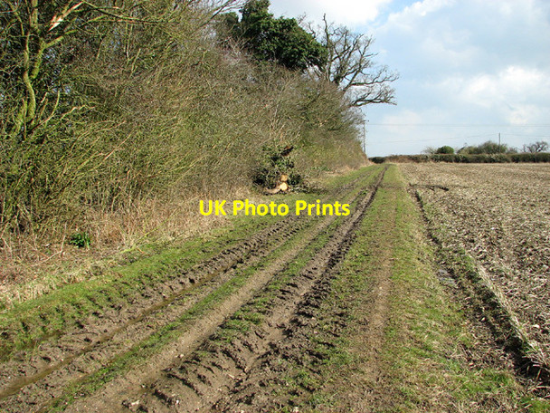 Photo 6"x4" Path from Seething to Birch Way, Mundham Mundham c2013