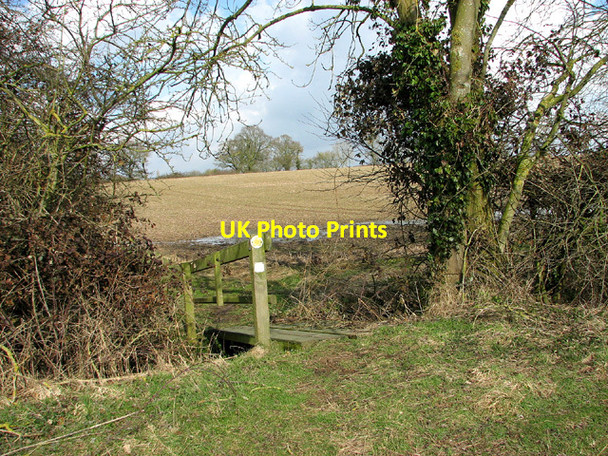 Photo 6"x4" Footpath to Abbey Farm, Seething Seething c2013