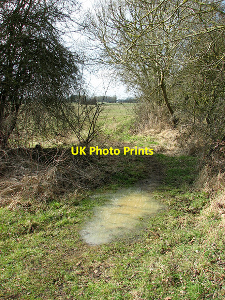 Photo 6"x4" Puddle on path to Seething Seething c2013