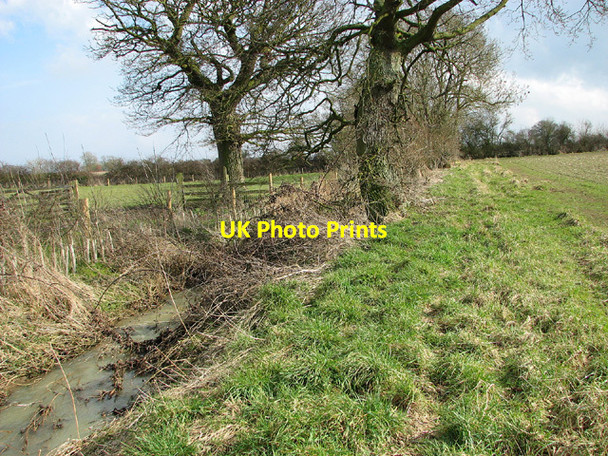 Photo 6"x4" Drainage ditch beside path to Mundham Seething c2013