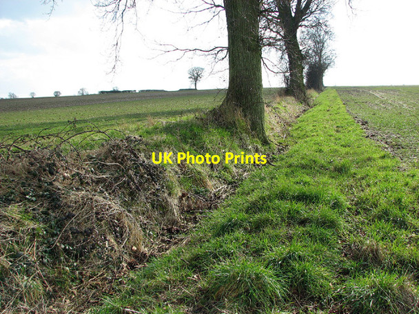 Photo 6"x4" Field boundary east of Seething Seething c2013