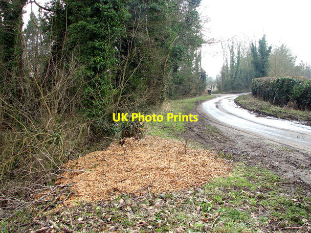 Photo 6"x4" To Seething on Mill Lane Mundham c2013