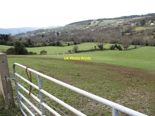 Photo 6"x4" Manured field in the Kilbroney Valley Rostrevor c2013
