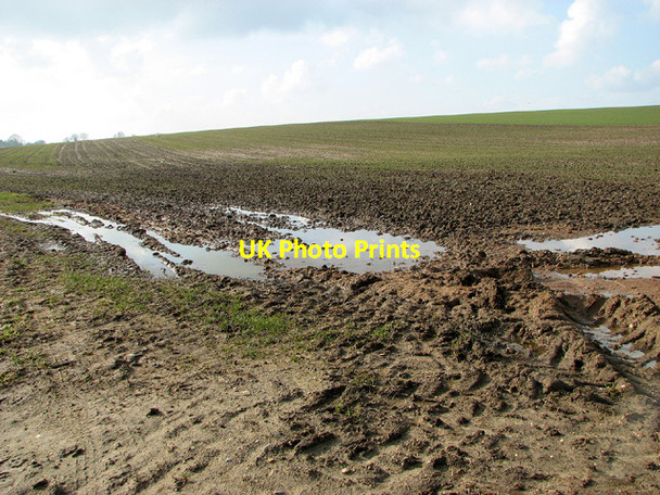 Photo 6"x4" Puddle in field west of Lion Lane, Thurton Mundham c2013