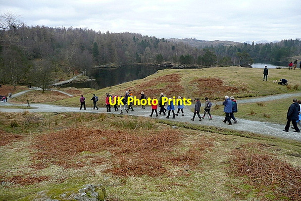 Photo 6"x4" Walkers at Tarn Hows Hawkshead Hill c2013
