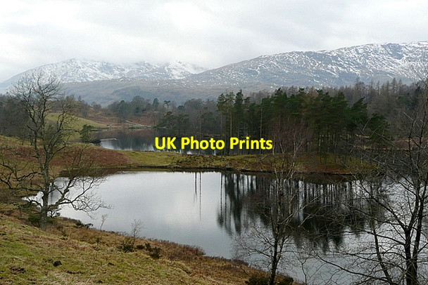 Photo 6"x4" Tarn Hows Hawkshead Hill c2013