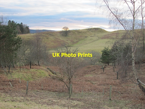 Photo 6"x4" Woodland, Glen Turret Ochtertyre\/NN8323 c2013