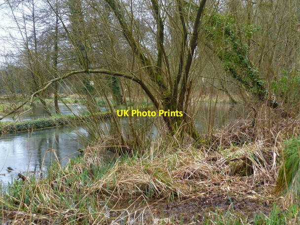 Photo 6"x4" Itchen Way (87) Colden Common c2013
