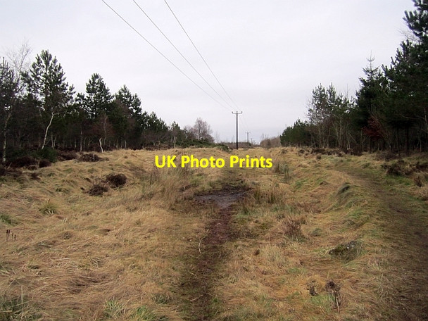 Photo 6"x4" Trackbed, Berwickshire Railway Gordon\/NT6443 c2013
