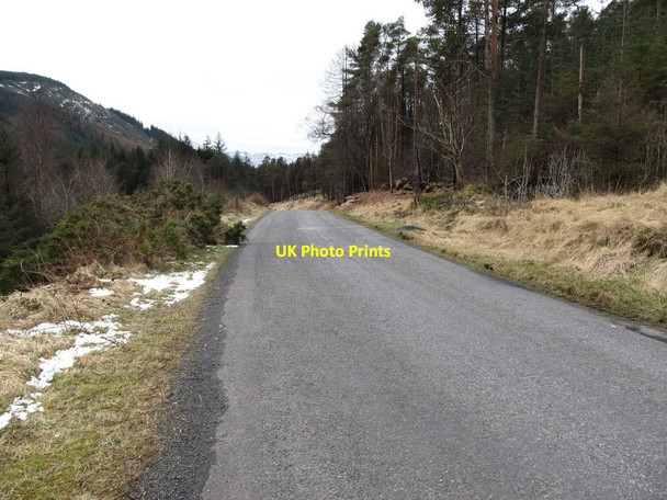Photo 6"x4" Sandbank Road north of the Yellow Water Picnic Area Rostrevor c2013