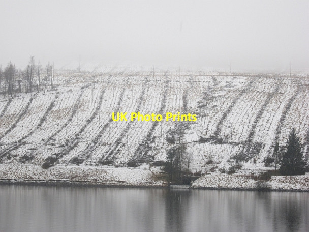 Photo 6"x4" Nether Rashy Cleuch Menzion c2013