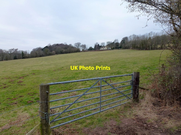 Photo 6"x4" Pastoral scene Hewelsfield Common c2013