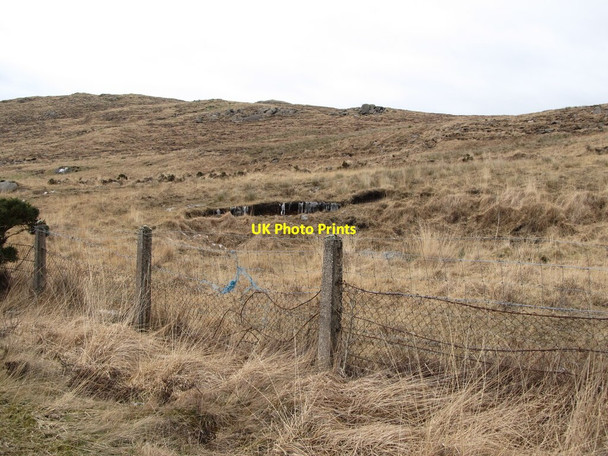 Photo 6"x4" Rough grazing on Crotlieve Mountain Hilltown\/J2128 c2013