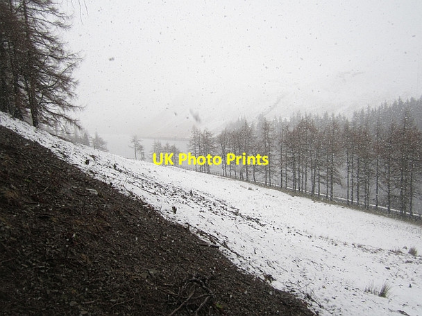Photo 6"x4" Cleared woodland, Talla Reservoir Talla Linnfoots c2013