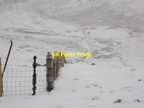 Photo 6"x4" Fence on Fans Law Talla Linnfoots c2013