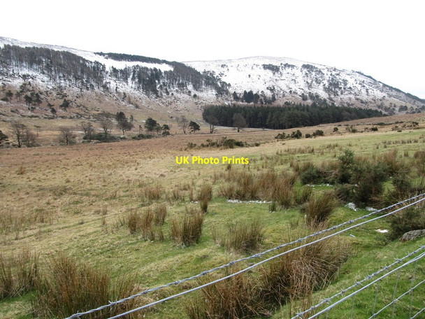 Photo 6"x4" View across Shankys Valley towards the wooded flank of the Mournes Hilltown\/J2128 c2013