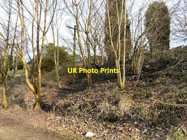 Photo 6"x4" Old railway banking Hyde\/SJ9494 c2013