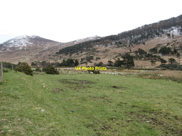 Photo 6"x4" View north along Shankys River Hilltown\/J2128 c2013