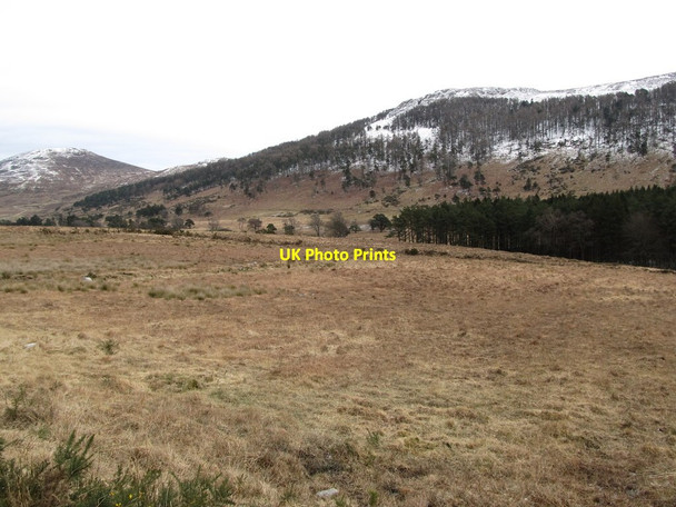 Photo 6"x4" Moorland grazings on the flood plain of Shankys River Hilltown\/J2128 c2013