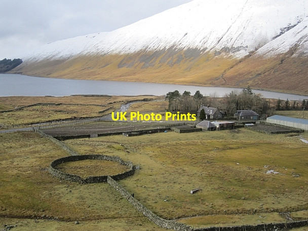 Photo 6"x4" Talla Linnfoots Talla Linnfoots c2013