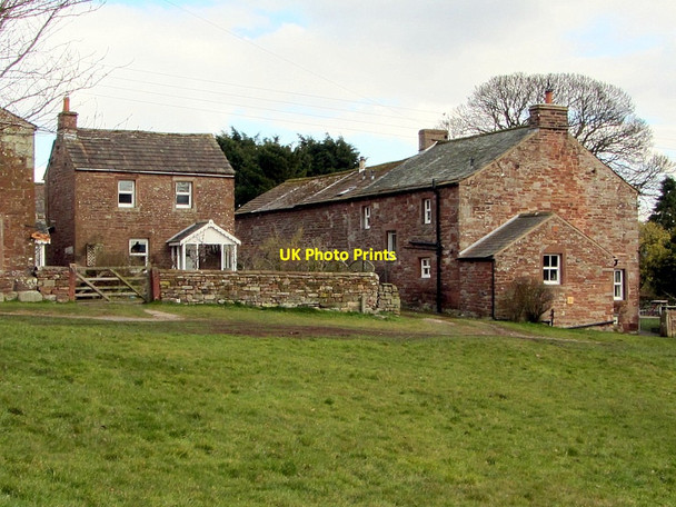 Photo 6"x4" Houses on Hunsonby Village Green Hunsonby c2013