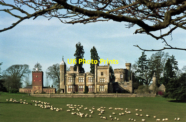 Photo 6"x4" Rotherfield Park, East Tisted East Tisted c2000