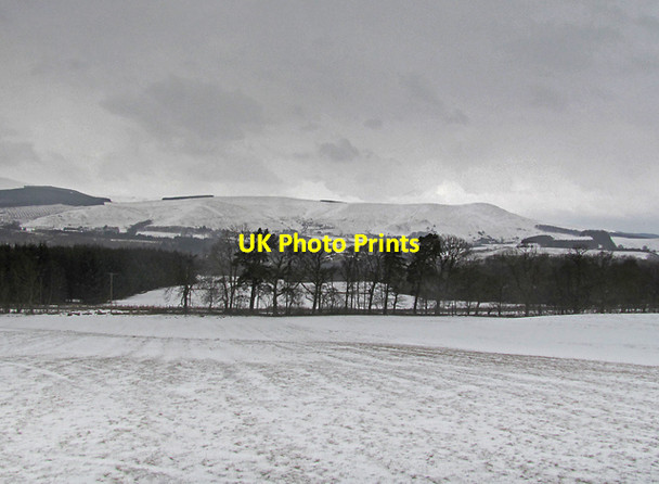 Photo 6"x4" Farmland near Whitegates Blairingone c2013