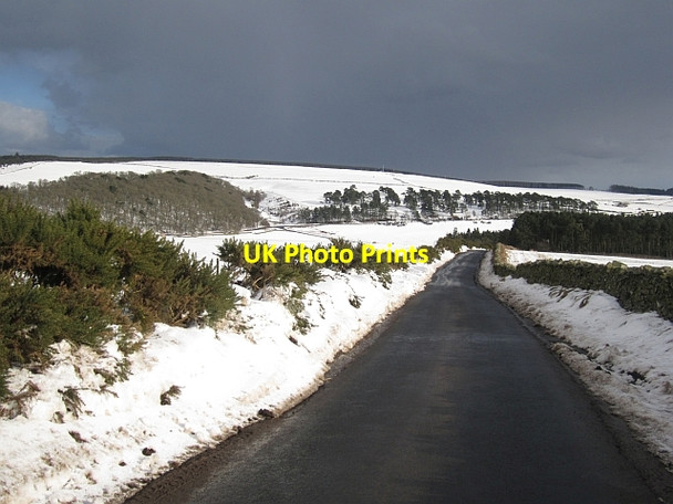 Photo 6"x4" Minor  road, Blackerstone Abbey St Bathans c2013