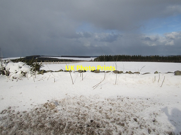 Photo 6"x4" Snow drift, Blackerstone Road Abbey St Bathans c2013