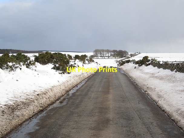 Photo 6"x4" Road, Blackerstone Moor Abbey St Bathans c2013